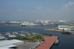 Izumiotsu harbor
