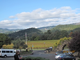 View of Napa Valley